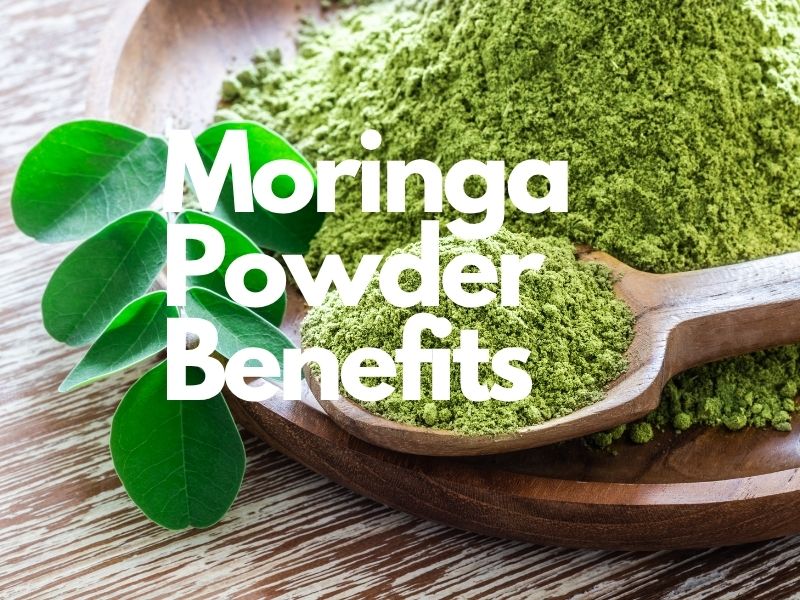 Moringa Powder