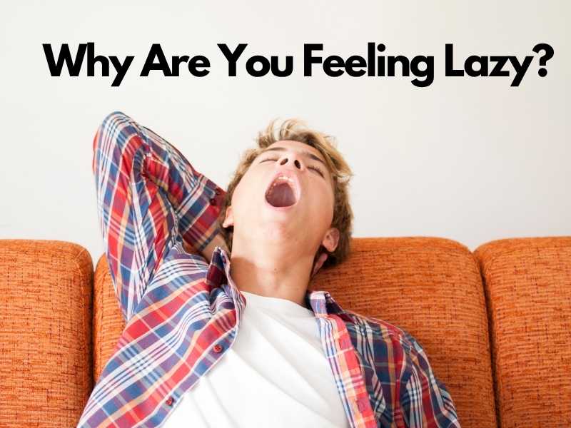 Lazy